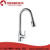 Contemprory Design Pull out Spray Single Handle Kitchen Faucet