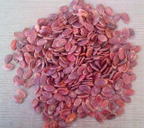 Watermelon Seeds Red with Hot Sale and Good Quality