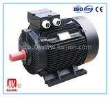 Three Phase Electric Motor, AC Motor, Induction Motor