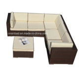 Indoor & Outdoor Rattan Furniture for Living Room / Garden with Aluminum (4004)
