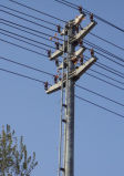 Power Transmission for Steel Pole Tower