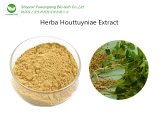 Herba Houttuyniae Extract