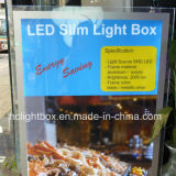 Slim LED Crystal Light Box with Acrylic