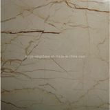 Sofit Gold Marble/Imported Marble