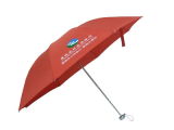 3 Section Umbrella (YLS-006)