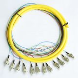 Fibre Optic Pigtails (FC/PC SM 12 Fibers Pigtails)