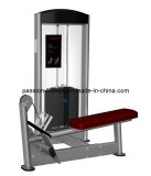 Low Row Commercial Fitness/Gym Equipment with SGS
