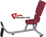 75-Degree Bench Gym Equipment for Fitness Equipment (FW-1008)