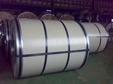 Colored Steel in Coil/SGCC