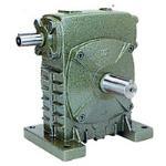 WD and WS Worm Gear Reducer
