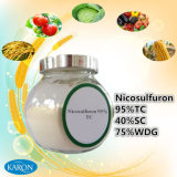 Good Sale Herbicide Products Nicosulfuron