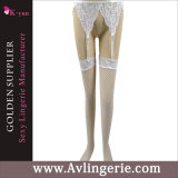 Women's Lace Sheer Triangle Sexy Intimate Garter Belt Stockings (DY01-013A)