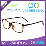 2015 Latest High Quality Tr90 Optical Frame Eyewear