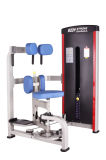 Body Building Rotary Torso Gym Machine Bd-011