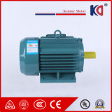 Horizontal Electric AC Induction Motor with 380V 50Hz