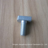 Stainless Steel Customed Square Head Bolt From OEM Factory