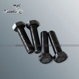 Factory Price DIN Steel Hex Head Bolt Standard Fastener (HX004-2)