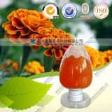 Marigold Flower Extract Supper Powder Ester Price Lutein for Eyes