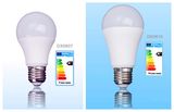 LED Bulb Light