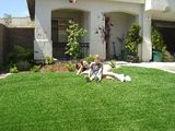 High Quality Landscaping & Leisure Artificial Grass (E535216DQ12042)