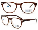 2012 Latest Styles Eyeglasses Plastic Optical Frames Spectacles Frame Optical Eyewear (BJ12-039)