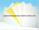 Self-Adhesive Paper in Sheet