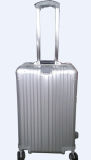 New Item Hot Selling Very Light Trolley Luggage (RMW-1110)