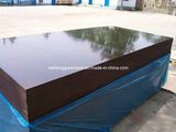 Two Times Hot Press Marine Plywood