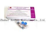 Sterile Ceftriaxone Sodium Powder Injection Medicine