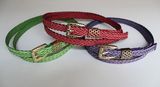 Women's Fashion Braided Belt (ZWB534)