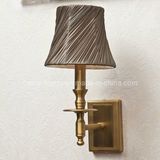 Home Decoration Lighting (SL2118-1W)