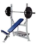 Fitness Equipment/Gym Machine/Hammer Equipment / Olympic Incline Bench (SH33)