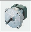 Electric Small Shaded Pole Induction Geared Motor (SP-ISG-3)