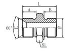 Hydraulic Fitting 1BL