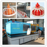 Automatic Poultry Feeding Equipment for Broiler