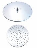Ceiling Mounted Shower Heads SS. R. A500