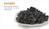 Frozen Black Fungus