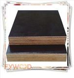 Asuatralia Standard 1220X1800X17mm Black Film Plywood