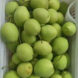 New Crop High Quality Fresh Pear / Shandong Pear (70-80-90-100)