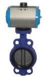 Good Quality Butterfly Valve (discharging additives)