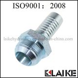 Jic Male Thread Forged Hydraulic Fittings (16711)