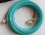 12 Core Om4 Fiber Patch Cord