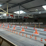 Automatic Poultry Feeding and Drinking System
