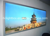 Ultra Thin Light Box with High Quality TV Backlit
