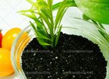 Seaweed Extract, Seaweed Fertilizer