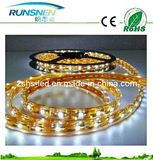 220V 3528 4W Warm White/Cool White LED Strip Light