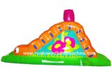 Inflatable Hight Quality Mini Slide for Kids