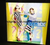 Advertising LED Light Box with Frameless Tension Fabric