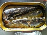 125g Oval Can Canned Sardine in Tomato Sauce with Chilli