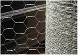 Hexagonal Wire Mesh/Anping Hexagonal Mesh